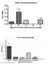Fig. 01 - DIABETES DIAGNOSTIC, PROPHYLACTIC, AND THERAPEUTIC COMPOSITIONS AND METHODS
