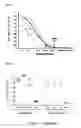 Fig. 04 - DIABETES DIAGNOSTIC, PROPHYLACTIC, AND THERAPEUTIC COMPOSITIONS AND METHODS