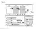 Fig. 09 - DIABETES DIAGNOSTIC, PROPHYLACTIC, AND THERAPEUTIC COMPOSITIONS AND METHODS