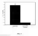 Fig. 12 - Method and peptide for regulating cellular activity