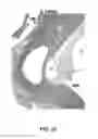 Fig. 16 - Method and peptide for regulating cellular activity