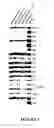 Fig. 04 - Modified HIV-1 Envelope Proteins