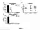 Fig. 08 - Tuberculosis TB vaccine to prevent reactivation