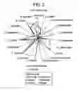 Fig. 03 - Base, products containing the same, preparation methods and uses thereof