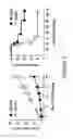 Fig. 14 - Lentiviral vectors pseudotyped with a sindbis virus envelope glycoprotein