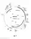 Fig. 08 - METHODS OF TREATING MEASLES INFECTIOUS DISEASE IN MAMMALS