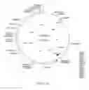 Fig. 12 - Composition comprising the polyprotein NS3/NS4 and the polypeptide NS5B of HCV, expression vectors including the corresponding nucleic sequences and their therapeutic use