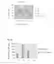 Fig. 16 - Composition comprising the polyprotein NS3/NS4 and the polypeptide NS5B of HCV, expression vectors including the corresponding nucleic sequences and their therapeutic use