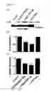 Fig. 06 - Engineered botulinum neurotoxin