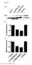 Fig. 07 - Engineered botulinum neurotoxin