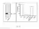 Fig. 11 - Outer membrane vesicles and uses thereof