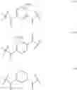 Fig. 171 - Methods Of Immune Modulation
