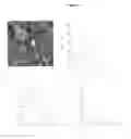 Fig. 02 - Colostrum composition