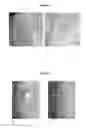 Fig. 06 - Colostrum composition