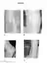 Fig. 08 - Colostrum composition