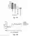 Fig. 29 - Compositions and methods for enhancing physiological performance and recovery time