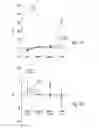 Fig. 35 - Compositions and methods for enhancing physiological performance and recovery time