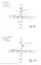 Fig. 10 - Compositions and methods for treatment of taupathy