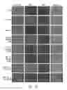 Fig. 20 - Compositions and methods for treatment of taupathy