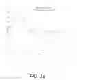 Fig. 02 - Anti-Adhesion Alginate Barrier of Variable Absorbance