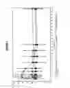 Fig. 04 - Pharmaceutical Compositions
