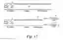 Fig. 16 - GLYCOPEPTIDE AND USES THEREOF