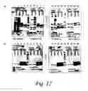 Fig. 18 - GLYCOPEPTIDE AND USES THEREOF