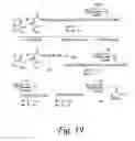 Fig. 20 - GLYCOPEPTIDE AND USES THEREOF