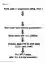 Fig. 30 - Liposome compositions and methods of use thereof