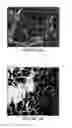 Fig. 18 - Compositions of polymeric myrcene
