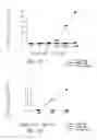 Fig. 06 - Treatment of allergic conditions using a composition containing synthetic adjuvant