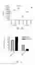 Fig. 08 - Treatment of allergic conditions using a composition containing synthetic adjuvant