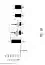 Fig. 13 - Treatment of allergic conditions using a composition containing synthetic adjuvant