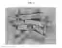 Fig. 02 - Flaked fish analogs and methods for making such analogs