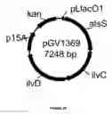 Fig. 35 - METHODS FOR THE ECONOMICAL PRODUCTION OF BIOFUEL PRECURSOR THAT IS ALSO A BIOFUEL FROM BIOMASS