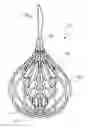 Fig. 01 - Decoration