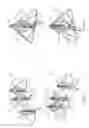 Fig. 07 - Decoration