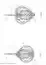 Fig. 08 - Decoration