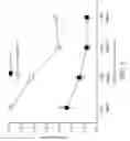 Fig. 05 - SET OF NANO/MICRO STRUCTURED OBJECTS CAPABLE OF INTERLOCKING WITH EACH OTHER AND STRUCTURED OBJECT THEREOF