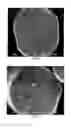 Fig. 05 - Toughened polylactic acid fibers