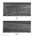 Fig. 06 - Toughened polylactic acid fibers