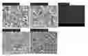 Fig. 01 - PRECURSOR POWDER FOR SINTERING USED FOR PREPARING DIELECTRIC MATERIAL AND PROCESS FOR PREPARING THE SAME