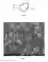 Fig. 02 - Process for coating diamond with refractory metal carbide and metal