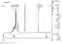 Fig. 01 - Varnish for a solid polymer fuel cell