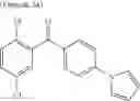 Fig. 29 - Varnish for a solid polymer fuel cell