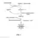 Fig. 02 - Imaging glyphosate in plant tissue