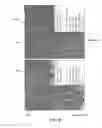 Fig. 07 - Imaging glyphosate in plant tissue