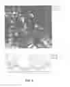 Fig. 09 - Imaging glyphosate in plant tissue