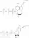 Fig. 43 - NUCLEOTIDE ANALOGS