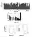 Fig. 02 - Polymorphism in CYP3A4 gene affecting drug metabolizing and uses thereof
